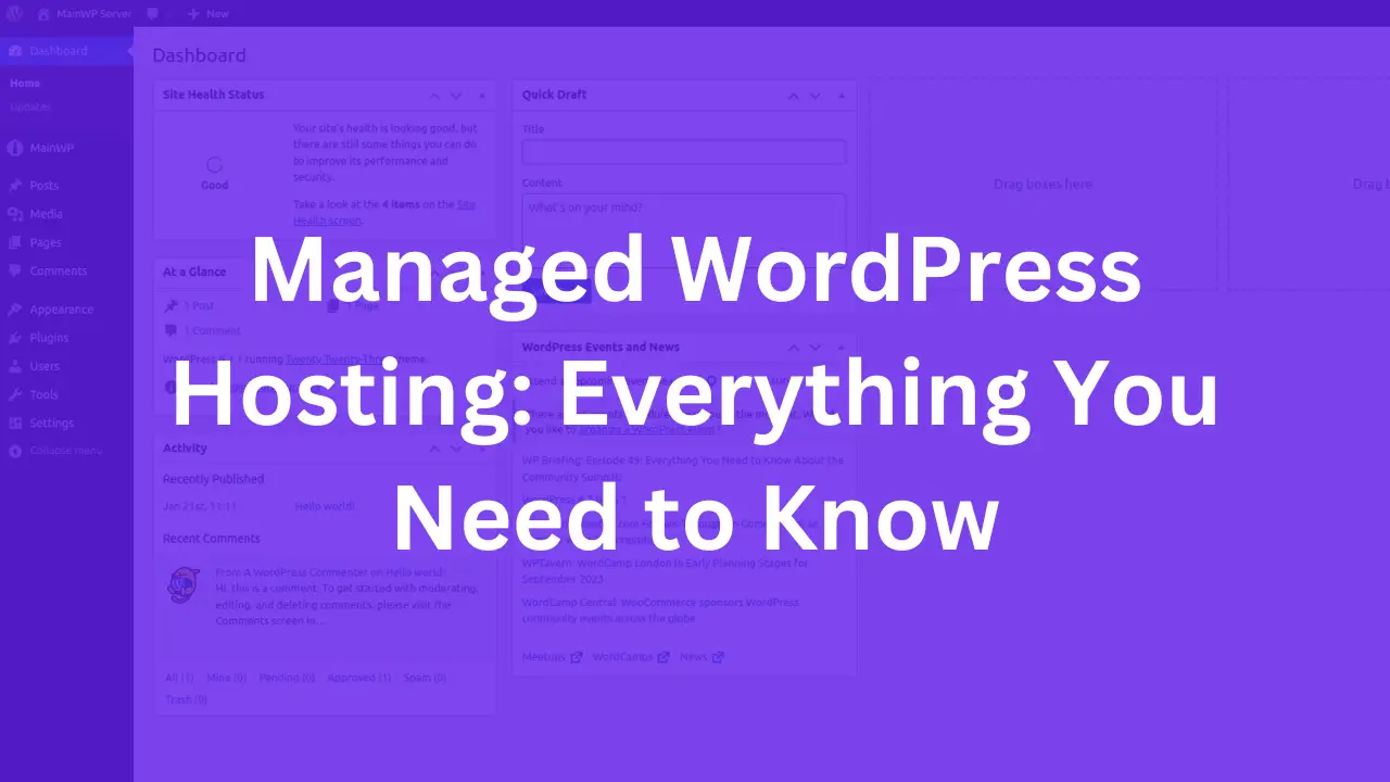 Managed WordPress Hosting: Everything You Need to Know